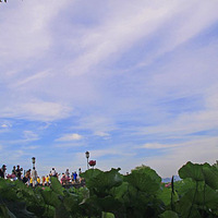 ������ŵ��糿