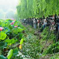 �����ɻ��ѵ���ѹ����� ��ǹ�������Ļ����