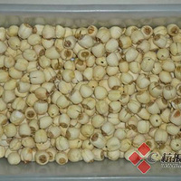 ��Ҷ��������������������