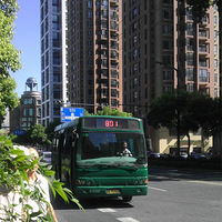 �ں��������� 40��ĳ���������û��ͼ��