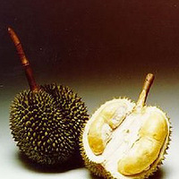8֡ζʳŮ˽