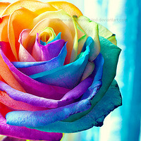 Ѥ���ͷף����߲ʵ�����