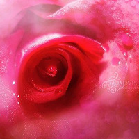 ��֮�� Usman Ali Khan΢����Ӱ