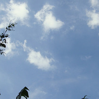 ��������������Ư��