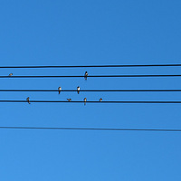 Ư����������