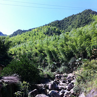 �����ɽ�������ˮ��ֻҪ�����а���������������