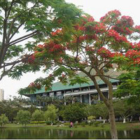 ��ת�ء�����������ҹ�Ժ�������