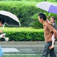 8��1�գ����14�죬������������һ�������꣡