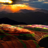 ��Ȼ���飺�ϵ��������˼�Ļ���