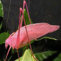 �̵�ȫ��10���ɫ���ʵ�����ȷ���