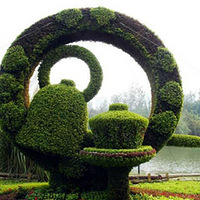 ��ε�֦Ҷ����֯������ʰ�쵵ĳ��з羰 