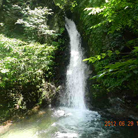 �ٰ��ļ�������ȥ��