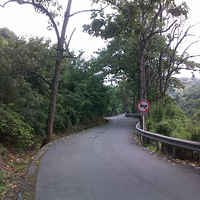 ��ƽ��8��4�ո�̩������