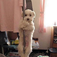 X���˱�Ц����(ÿ�ո���)