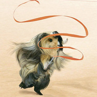 ��˼���룺���������˻�