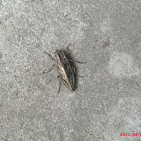 ֪ʲô棬˭ Һǵһμ