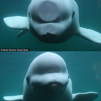 ��һ�θж�һ�Σ����ܼ�ֵ����ţ���ת��