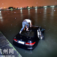 ���㱾���ż���̨�� һͷ����������