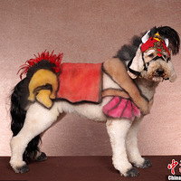 ȫ������ѡ�����ռ��� ��ת�ٱ�����