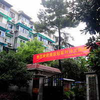 �����˹ھ�Ҷʫ�Ļؼ���!��