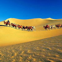 �}�|�{�z�z�y�x���ش����š��ػ͵ıڻ����겻���⿪���ˡ�