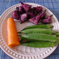 ����ҵ���ʳ---������ɫ