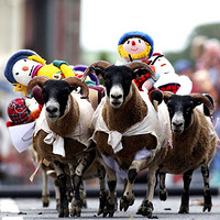 Ӣ�����С�ϲ���󡱻����ϰ���