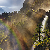 �����ʺ���Ӱ