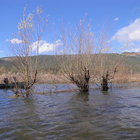 �Ұ�����                          �������к�