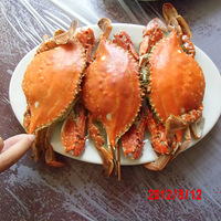 ��Ҳ��˵˵��Ҽ���Լ��Σ�����