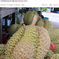 ����˵����