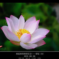 �������Ӻ�