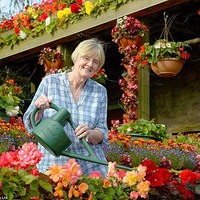 Ӣ���򸾷��ӱ��ʻ���ӳ�ɶ��ط羰