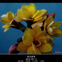 �ƻ������Ұ����Ļ�