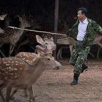 �ض���¹��