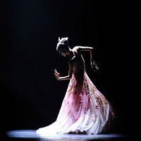 ����Ƽ�չ�֮������ȸ����������