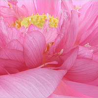 �����������ʻ���Ӱ