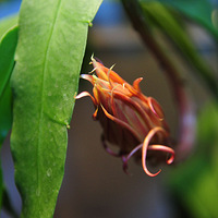 ���������꼻�һ�֡��޾�����