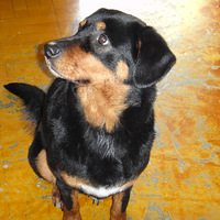 ����Ѱ�����£��س꣩