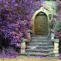 ��һƬ�����λõ���