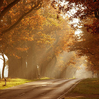 ���ǻ�����������＾�����Ӱ