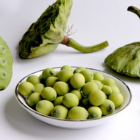 ����ɯ��ʳ�������ĳ�