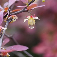 ���ˮ�����