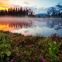 ׳�۵�ɽˮ��Ӱ��Ƭ����