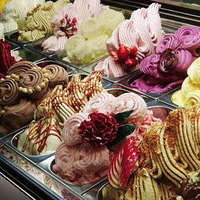 ���Ե���ʳ���������������