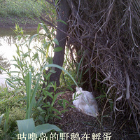 �������๾�ൺ�羰һ��