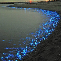 �趨Ŀ�꣬Ŭ������