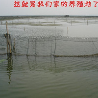 ���κ���ֳ��ֱ������-----�۸�����