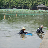 �����̺Ӱ�