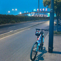 Сѩ�������ռ�NO3��9.2�Ӻ��ݵ����ƺ���������ֽ���һ�㡣